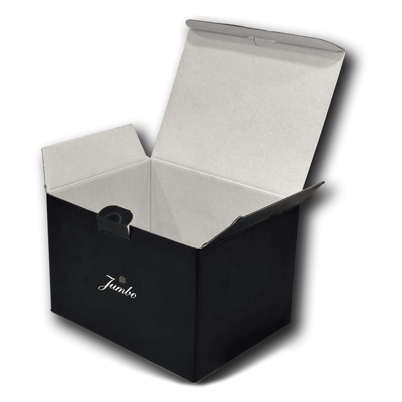 CARDBOARD BOX