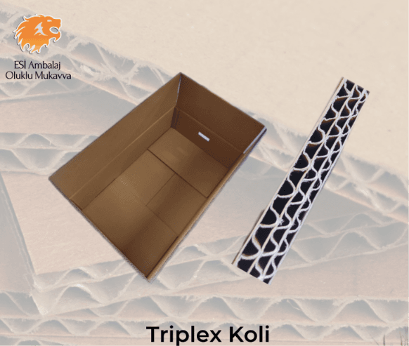 TRİPLEX KOLİ